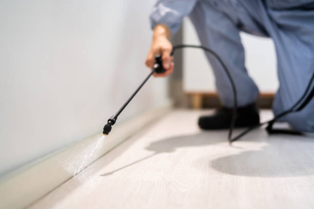 Licensed Termite Control service in Madison, WV - Nex Pest Control