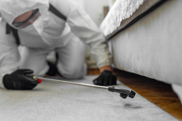 Professional Termite Control technician working in Madison, WV