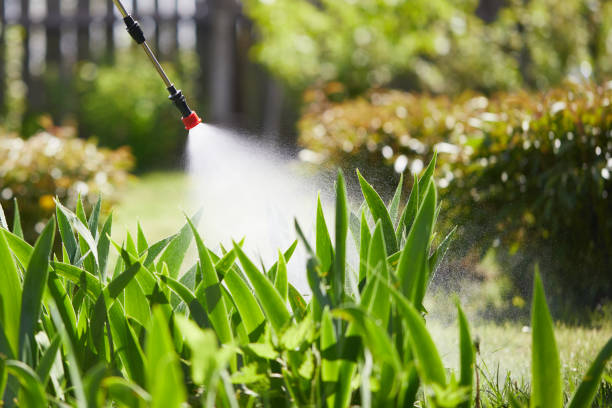 24/7 Emergency Termite Control experts in Madison, WV