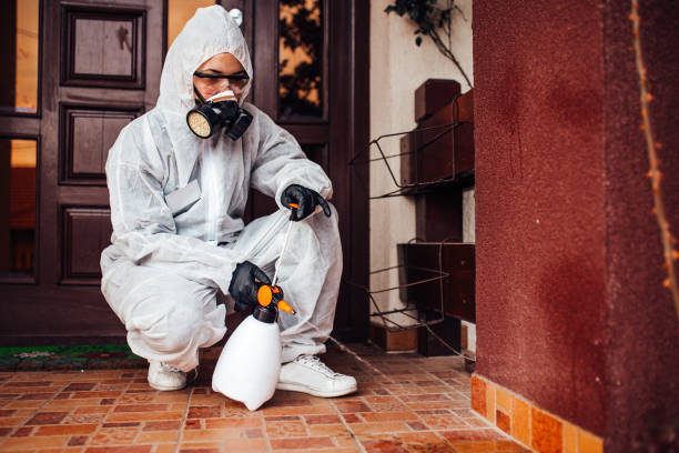 Reliable Termite Control contractor in Madison, WV by Nex Pest Control